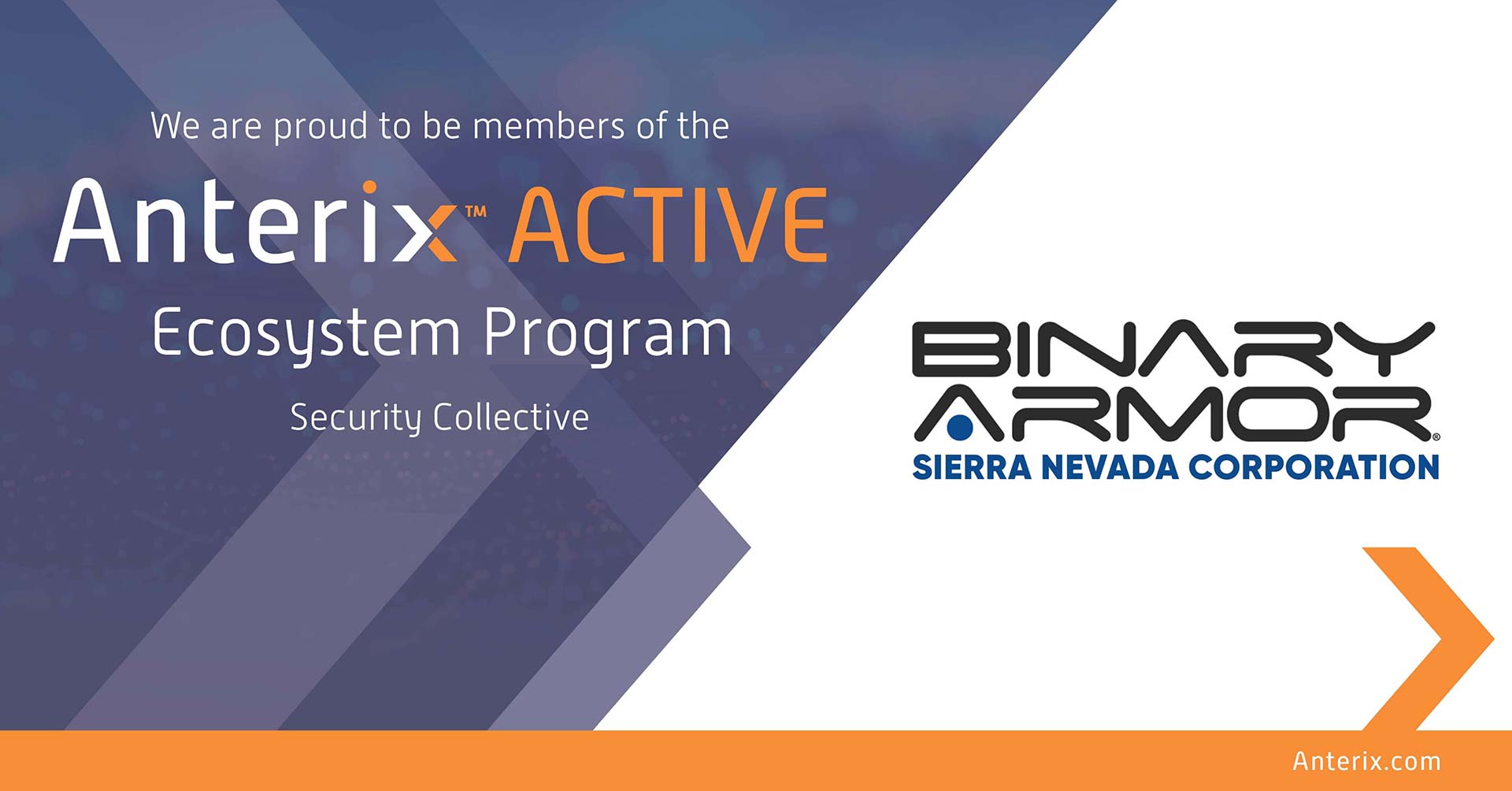 Binary Armor Joins Anterix Security Ecosystem